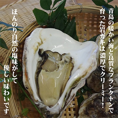 岩ガキフライとむき身のセット