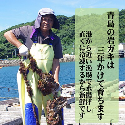 岩ガキフライとむき身のセット