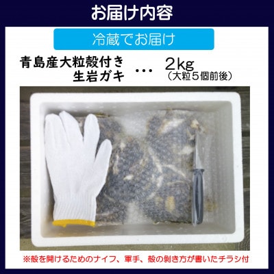 【期間限定】青島産 大粒殻付き 生岩牡蠣 2kg