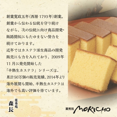 長崎カステラ(定番　0.5号)【ハニー2本、チョコ、抹茶各1本】