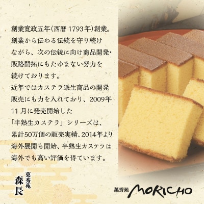 【訳あり】長崎カステラ切れ端　8袋
