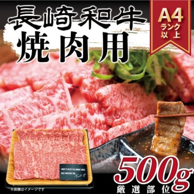 【毎月定期便】【A4～A5】長崎和牛焼肉用　500g(松浦市)全12回