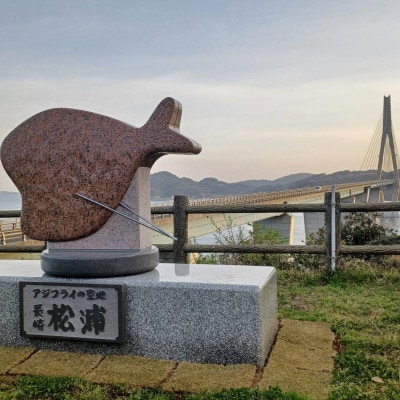 【返礼品なし】長崎県松浦市への応援寄附金(1,000円分)