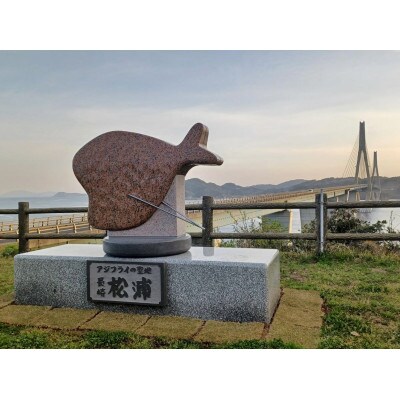 【返礼品なし】長崎県松浦市への応援寄附金(50,000円分)