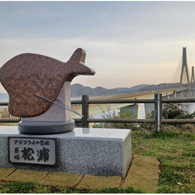 【返礼品なし】長崎県松浦市への応援寄附金(100,000円分)