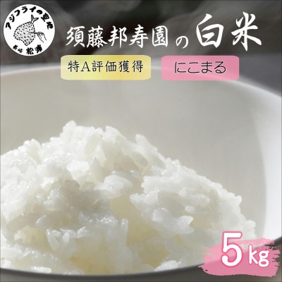 須藤邦寿園の白米 通算9回特A獲得米 にこまる 5kg