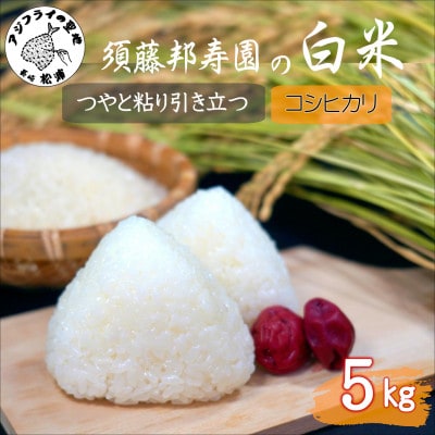 須藤邦寿園の白米 コシヒカリ 5kg