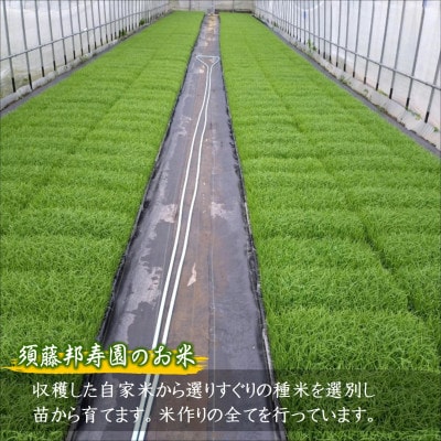 須藤邦寿園の白米 夢しずく 5kg