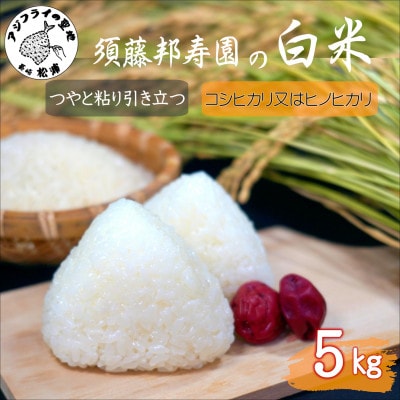 須藤邦寿園の白米 コシヒカリ又はヒノヒカリ 5kg
