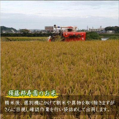 須藤邦寿園の白米 コシヒカリ又はヒノヒカリ 5kg