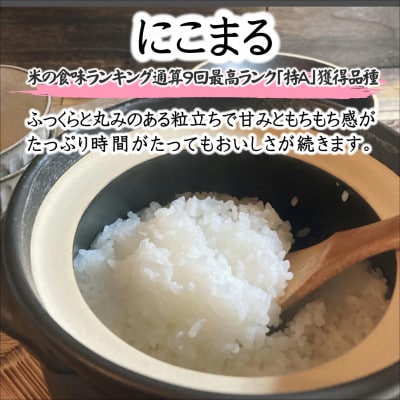 【毎月定期便】須藤邦寿園の白米 通算9回特A獲得米 にこまる 5kg全3回