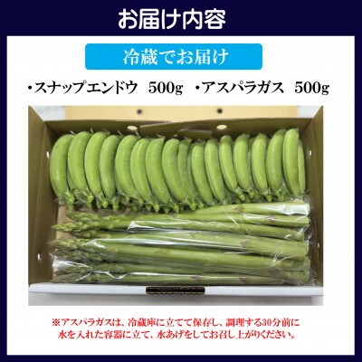 【春をお届け2027年3月限定】星鹿町産スナップエンドウとアスパラガス詰め合わせ1kg