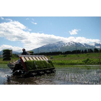 【令和4年産 新潟妙高産】 真空パック 300g×6個 コシヒカリ・つきあかり・こしいぶき