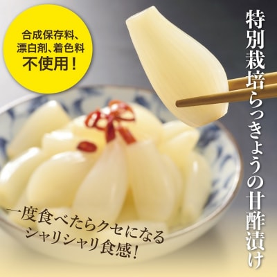 特別栽培らっきょうの甘酢漬(8袋セット)