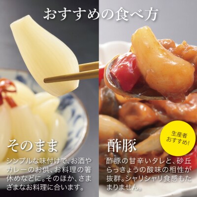 特別栽培らっきょうの甘酢漬(8袋セット)