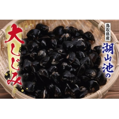 湖山池の大しじみ