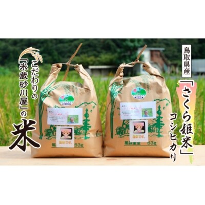 【2026年9月下旬～発送予定】鹿野のさくら姫米 6kg ( 3kg×2袋 )