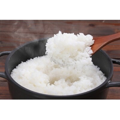 【2026年9月下旬～発送予定】鹿野のさくら姫米 6kg ( 3kg×2袋 )