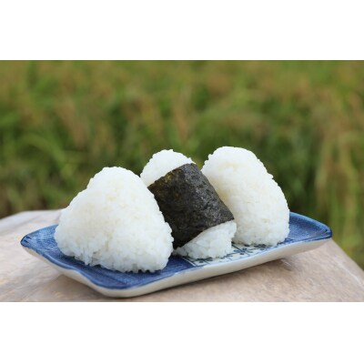 【2026年9月下旬～発送予定】おいしい米食べ比べセットA