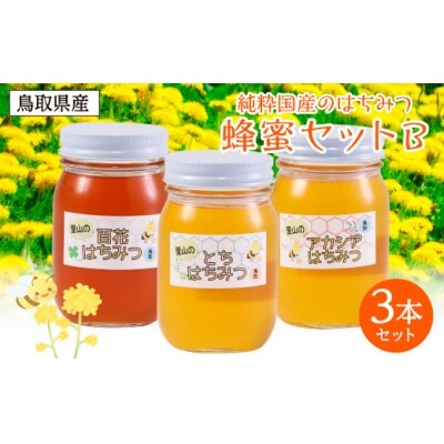 蜂蜜セットB