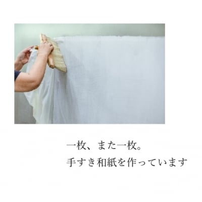 【因州和紙】手すき画仙紙 (半切) 50枚入
