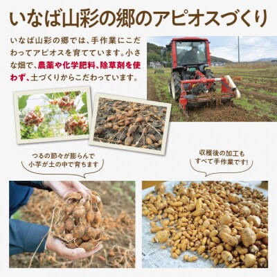 世界三大健康野菜 アピオス 1キロ