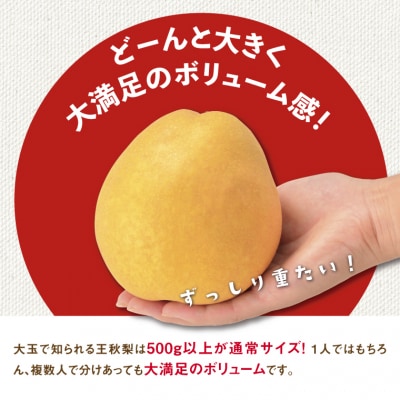 訳あり 王秋梨 3kg【やぶやフルーツガーデン】