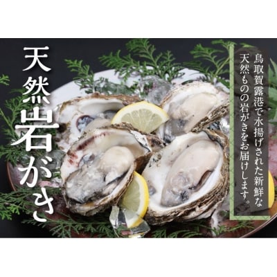 鳥取賀露港 天然岩がきセット 【かねまさ・浜下商店】