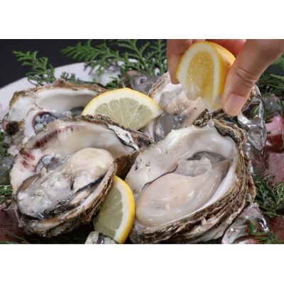  鳥取賀露港 天然岩がきセット 【かねまさ・浜下商店】