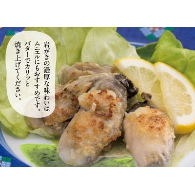  鳥取賀露港 天然岩がきセット (かねまさ・浜下商店)