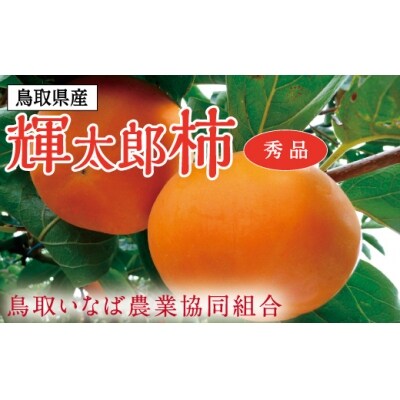 輝太郎柿 3キロ【鳥取いなば農業協同組合】