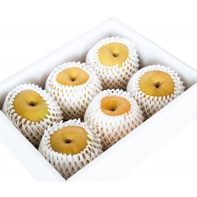 新甘泉 秀品 3キロ(砂丘のなし屋さん)