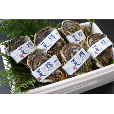 鳥取賀露港 天然岩がき「夏輝」セット (かねまさ・浜下商店) | ふるさと納税のお礼品