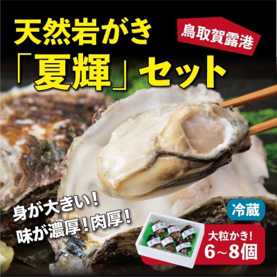 鳥取賀露港 天然岩がき「夏輝」セット 【かねまさ・浜下商店】