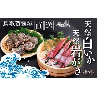 鳥取賀露港 天然白いか・天然岩がきセット 【かねまさ・浜下商店】