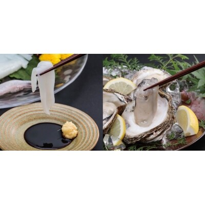 鳥取賀露港 天然白いか・天然岩がきセット 【かねまさ・浜下商店】