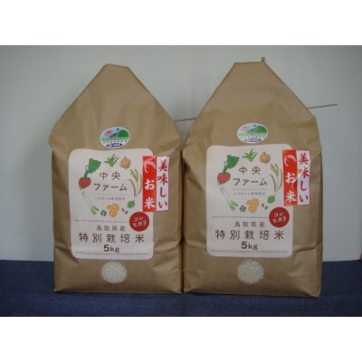 【先行予約】鳥取県産特別栽培米こしひかり(10kg)【令和8年9月上旬稲刈り後出荷】