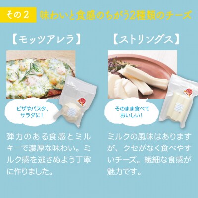 大山ホワイトチーズ