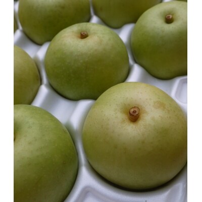 二十世紀梨 3キロ たにがみ農園 お礼品詳細 ふるさと納税なら さとふる