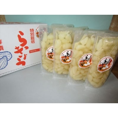 特別栽培らっきょうの甘酢漬 8袋セット お礼品詳細 ふるさと納税なら さとふる