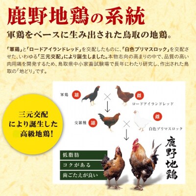 鹿野地鶏食べ比べセット