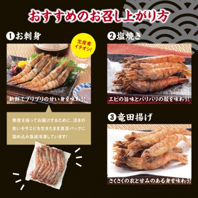 猛者海老15匹×2パックセット(山根商店)