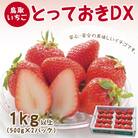 とっておきDX 1kg 鳥取いちご【とみハウス】