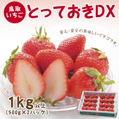 とっておきDX 1kg 鳥取いちご【とみハウス】