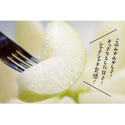 訳あり 二十世紀梨 3kg【やぶやフルーツガーデン】