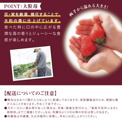 鳥取県新ブランド苺 とっておき 大粒詰め合わせ 苺工房 たけうち お礼品詳細 ふるさと納税なら さとふる 鳥取県新ブランド苺 とっておき 大粒詰め合わせ 苺工房 たけうち お礼品詳細 ふるさと納税なら さとふる