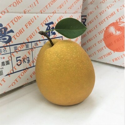 王秋梨 訳あり5kg(たさき農園)