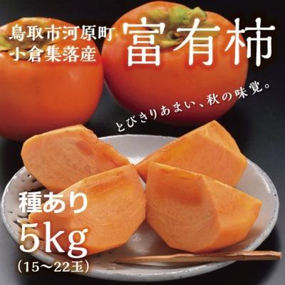 富有柿 5kg箱 (L～2Lサイズ)