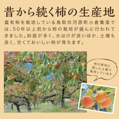 富有柿 5kg箱 (L～2Lサイズ)