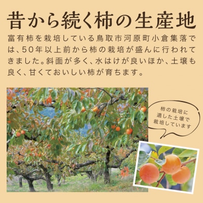 富有柿 5kg箱 (L～2Lサイズ)